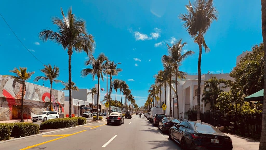 Palm trees lining a busy street with shops and parked cars under a bright blue sky.